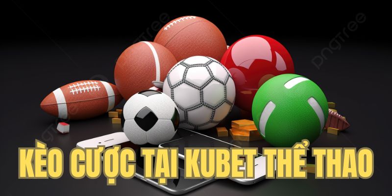 Cược Tài xỉu có 2 lựa chọn chính