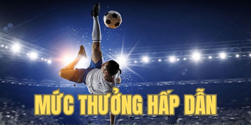 Mức thưởng lớn cho hội viên WW88 thể thao